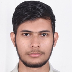 Fellow 1